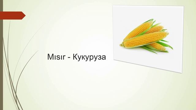 Урок 20. Овощи в Турецком языке.Учим новые слова,составим предложения,прочитаем и выучим Турецкий.