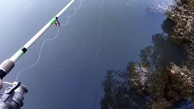 Последняя рыбалка осени 2021? )) Спасибо каждому из Вас, просто за то что Вы у меня есть.. смотреть онлайн