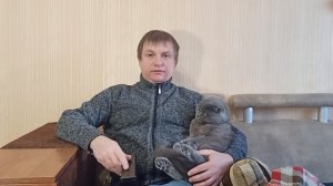 Усилитель 3E Audio на чипе TPA3255