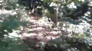 Копаем колодец в лесу. На роднике.