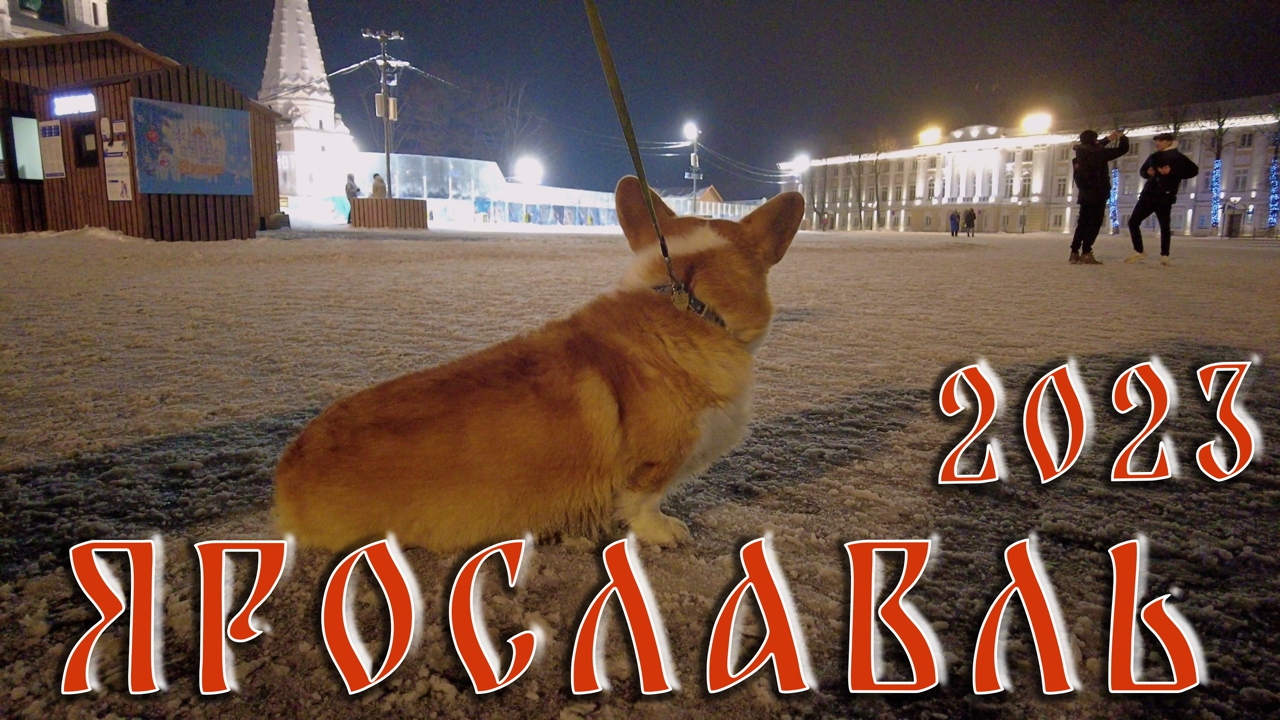 Золотое кольцо 2023, часть 3, Ярославль, Drobek On The Road#49 #ярославль #золотоекольцо #корги
