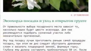 Экзохорда: посадка и уход в открытом грунте, полив, размножение.