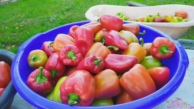 🍅🫑🍅Лечо на зиму из перца и томатной пасты🌿