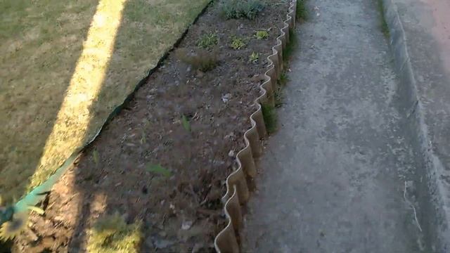 ПЕРВЫЕ ВЕСЕННИЕ ЦВЕТЫ на ДАЧЕ смотреть онлайн