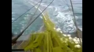 **(Керченский пролив,кошельковый лов хамсы))**