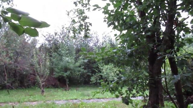 Осенята...Дань, Горе... смотреть онлайн