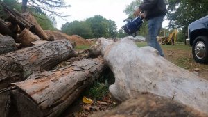 Holzfforma G660 vs Ms Sthil 661 viral #trending #video