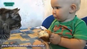 ПРИКОЛЫ С ДЕТЬМИ.  КОШКИ И ДЕТКИ! СМЕШНАЯ ПОДБОРКА!