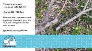 Сучкорез телескопический 670-1020мм SK5 SKRAB 28186