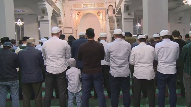 Подготовка к мовлиду смотреть онлайн