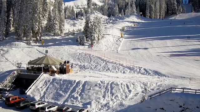 Топ-5 признаков мужчин в которых чаще всего влюбляются женщины смотреть онлайн