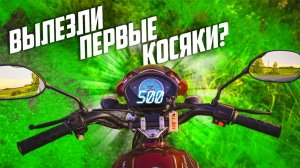 500 км на колёсах мопеда Альфа | Замена масла - регулировка сцепления - устранение скрипа  тормозов