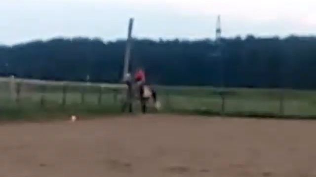 Тренинг молодой лошади под опытным всадником .КСК Русские Просторы смотреть онлайн