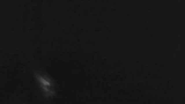 Попал в кабана 70-85м _ ATN MARS-HD 4.5-18x 384x288 смотреть онлайн