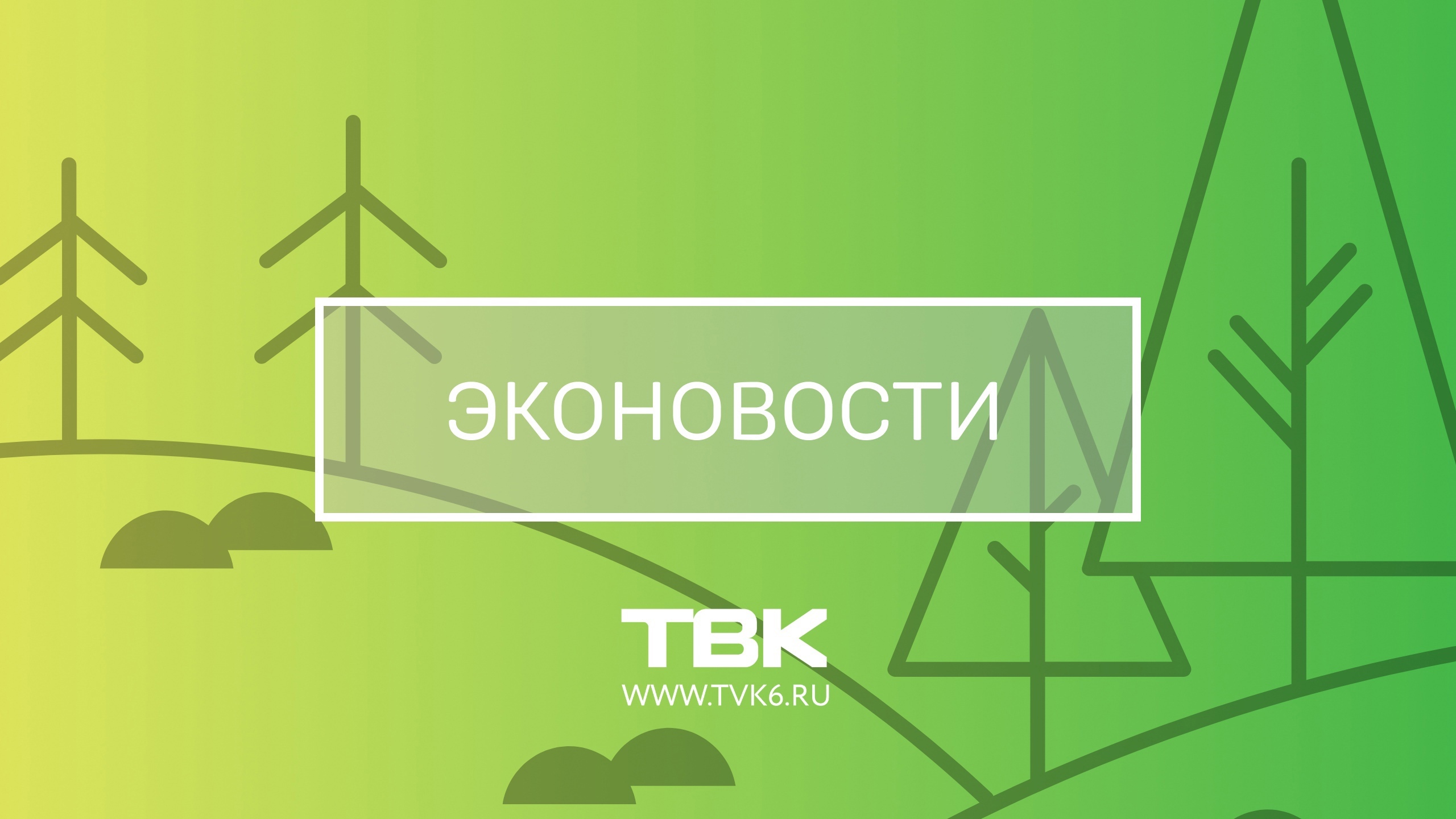«Эконовости»: озеленение Красноярска