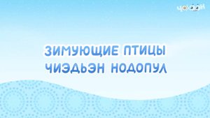 Чиэдьэн нодопул - Зимующие птицы