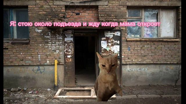 3 февраля 2024 г. смотреть онлайн