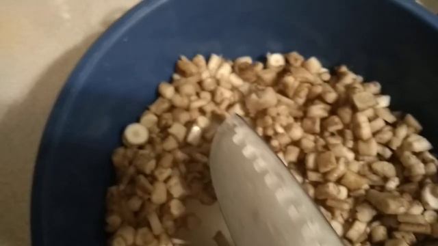 Весенняя заготовка корней одуванчика для кофе. Копаем, чистим, сушим корни одуванчика. смотреть онлайн