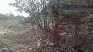 ? ПРОДАЁТСЯ УЧАСТОК ? село Горлово ? Рязанская область ? Скопинский район ? От собственника