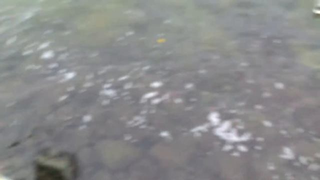 Плещеево озеро