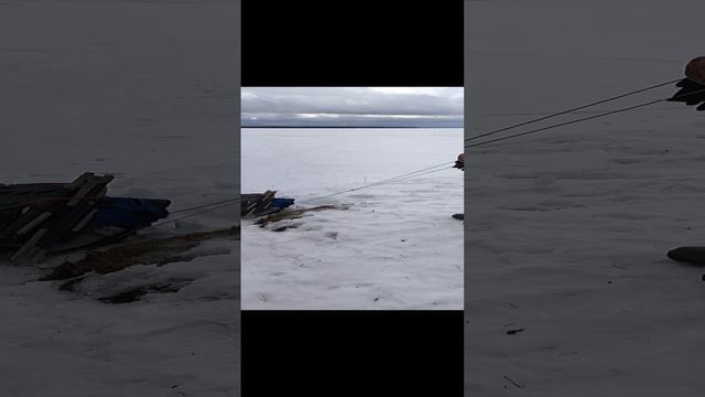 Штурмуем Горы смотреть онлайн