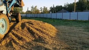 Силосование измельчённой кукурузы МТЗ 80