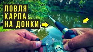 ЛОВЛЯ КАРПА РЫБАЛКА НА ПРУДУ