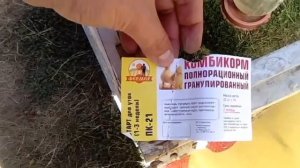 Экоферма "Приятное Свидание".  Приобретение недельных утят.  7 дней