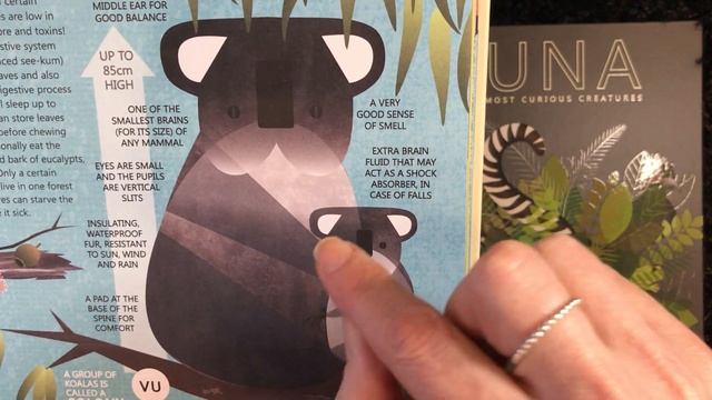 FAUNA: Australia's Most Curious Creatures - The Koala смотреть онлайн