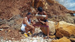 Система 100 Анны Куркуриной.