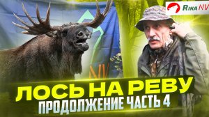 Охота на лося на вабу, на реву, гону! Продолжение. Часть 4 ОХОТНИЧЬИ СЕКРЕТЫ от Игоря Кроля.