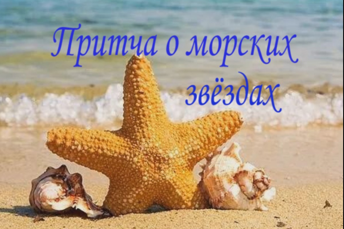 Притча о морских звёздах смотреть онлайн