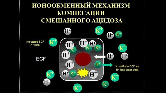Лекция 20.
Все факультеты.
Экстремальные состояния (шоки, комы, коллапс).