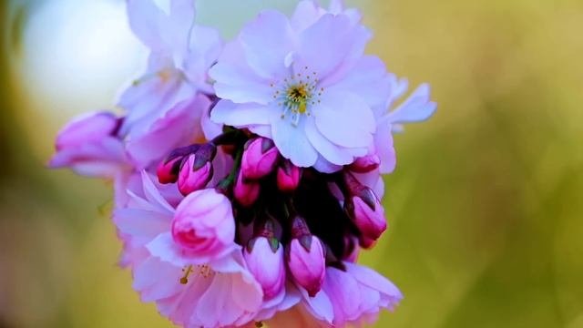 19 июля - Время судьбоносных решений | Лунный Календарь