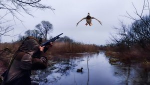 Хороший отдых в сезон охоты август 2021 год. Ни одна дикая утка не пострадала.