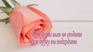 С деревянной свадьбой