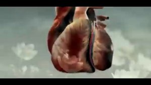 ЧТО БУДЕТ ЕСЛИ БРОСИТЬ КУРИТЬ!!!