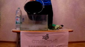 Подготовка аквариума к нересту барбусов.