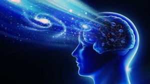 Как устроена память человека? - Вы должны это знать