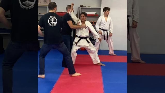 Practical: Kanku Dai Kusanku Bunkai #karate #martialart #karatespirit #shotokankarate #mma