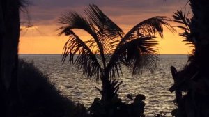 Флоринтийская уния. Святитель Марк Эфесский. История христианской церкви