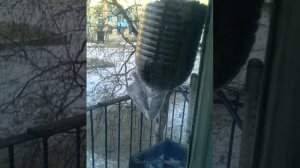 кормушка для синичек без воробьев.
