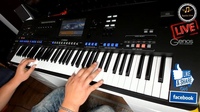 Holly Dolly 'Dolly Song' Ieva's Polka Levan Polkka (Cover Szatix Live) Yamaha Genos смотреть онлайн