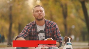Джек Рассел Терьер ➠ Узнайте все о породе собаки
