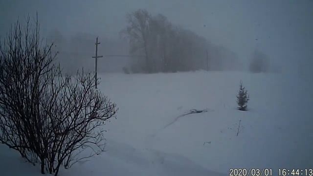 Первый день весны 1 Марта
