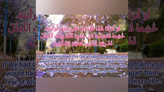 Ayat 21-22 of سورة الحشر by Qari Mansour Mohieddin смотреть онлайн