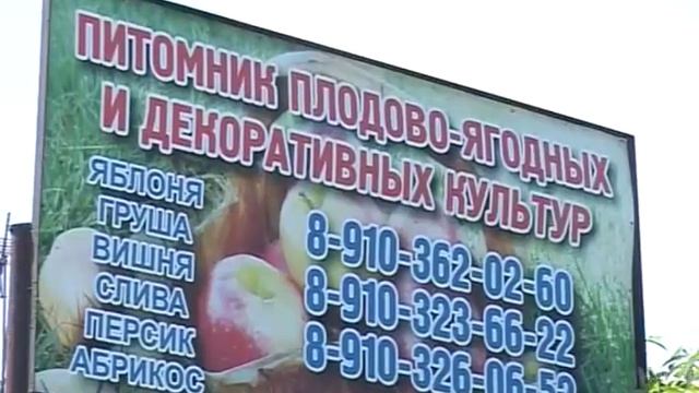 Ловушки для садовых вредителей смотреть онлайн