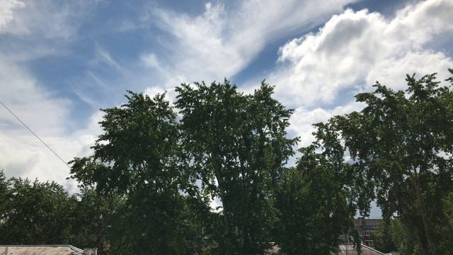 4K Video