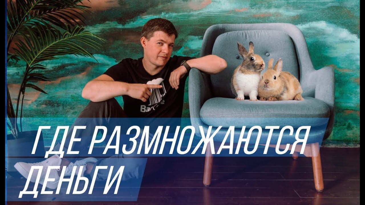 Кравцов Александр  | Как заставить деньги работать? | Отзывы про Город Инвесторов и клуб Активы