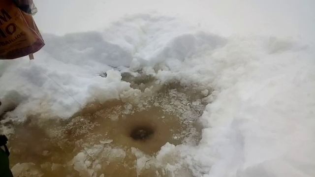 Расомаха убила оленей 8 мь лет в тундре,Куда делась вся картошка/встреча оленевода женщина в чуме смотреть онлайн